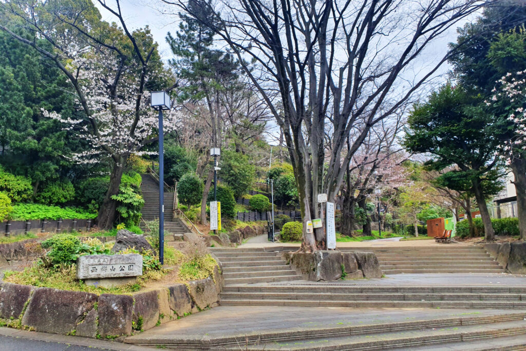 An image of the bottom of Saigoyama Park at spring with some early blossom, lush grass and some bare trees. 