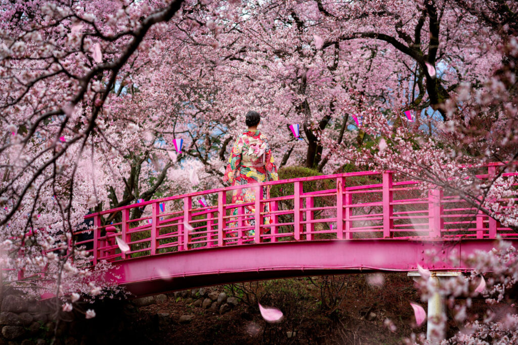 A Woman standing on a Japanese Bridge with lots of Sakura around during a Japanese Public Holiday