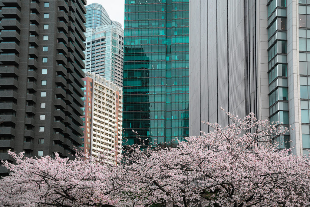The way to Maximizing Your Property's Potential is by selling you property with Housing Japan 