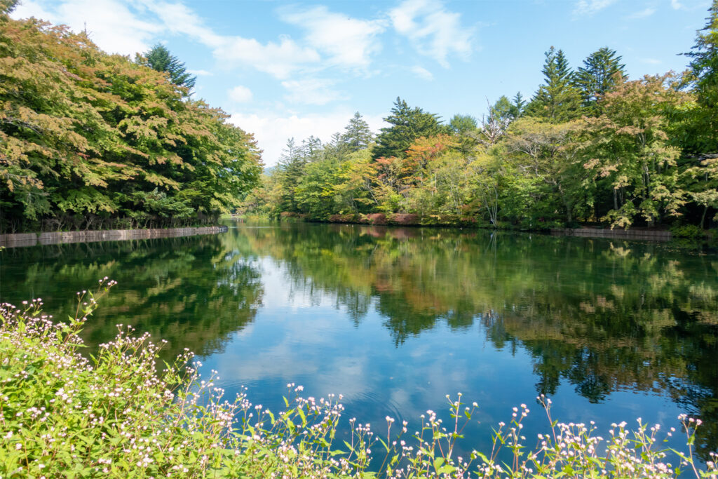 Karuizawa: Tokyo's Closest Mountain Escape: Karuizawa Kumoba Pond.