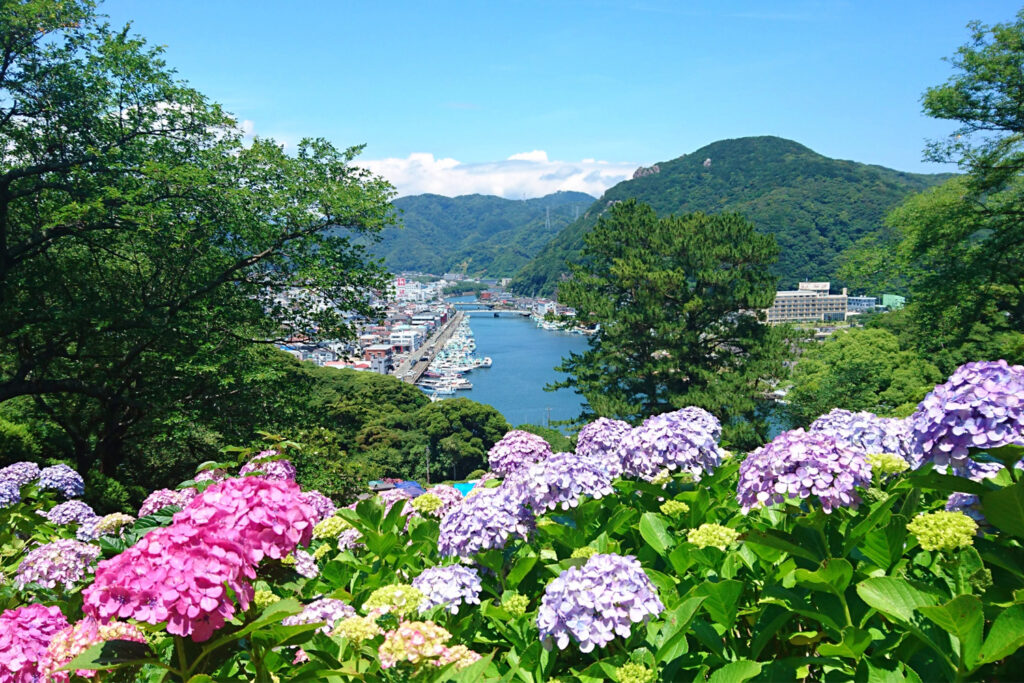 Shimoda: Coastal Beauty via Luxury Rail, Shimoda town