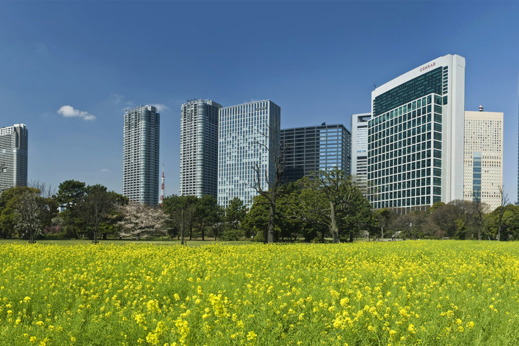 A view of Tokyo from Hamarikyu Gardens