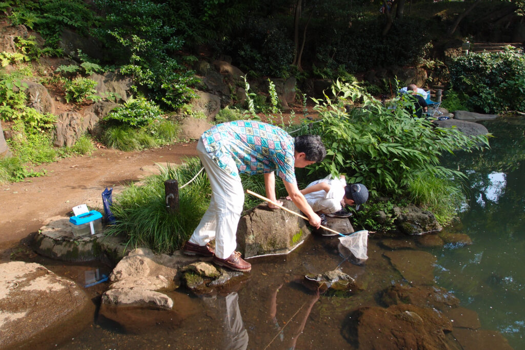 A farther and son playing in Arisugawa no miya Memorial Park