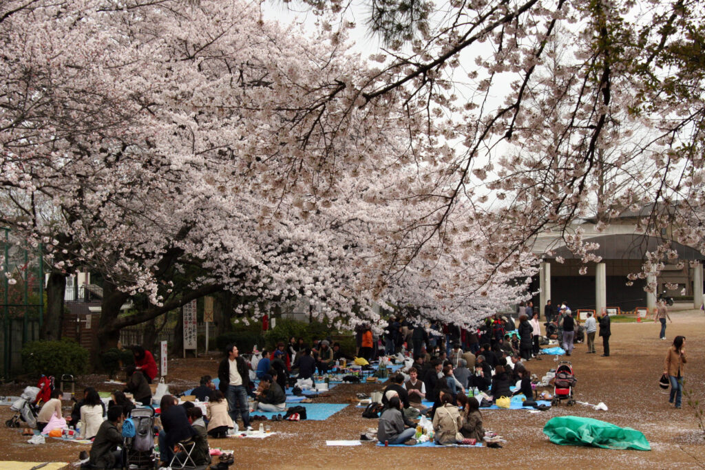 Families enjoying Tamagawadai-Kouen Denenchofu in Tokyo