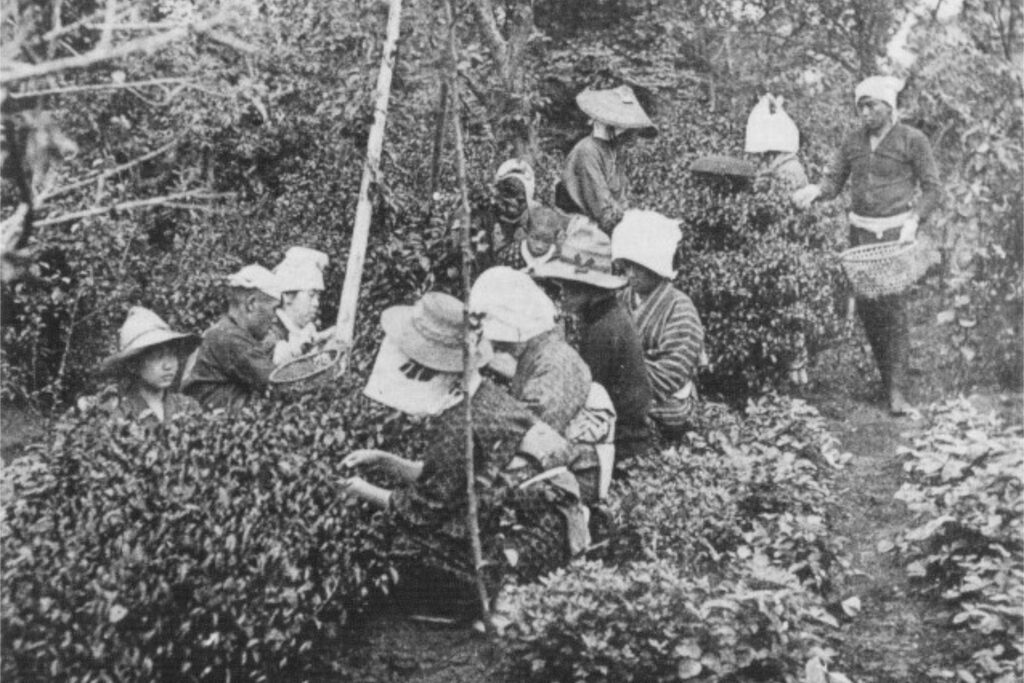 Tea garden at Iwaya Matsuhei's residence, Sarugakuchō, late Meiji era