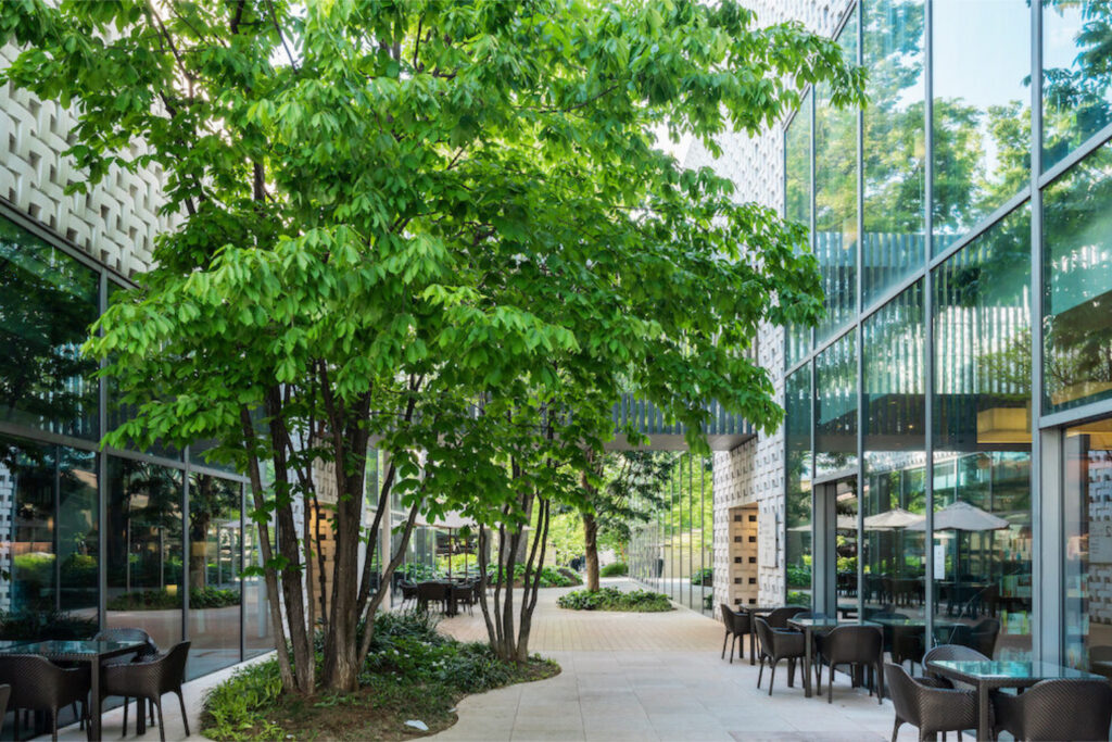 Daikanyama T-site exterior with trees and seating, Daikanyama area guide