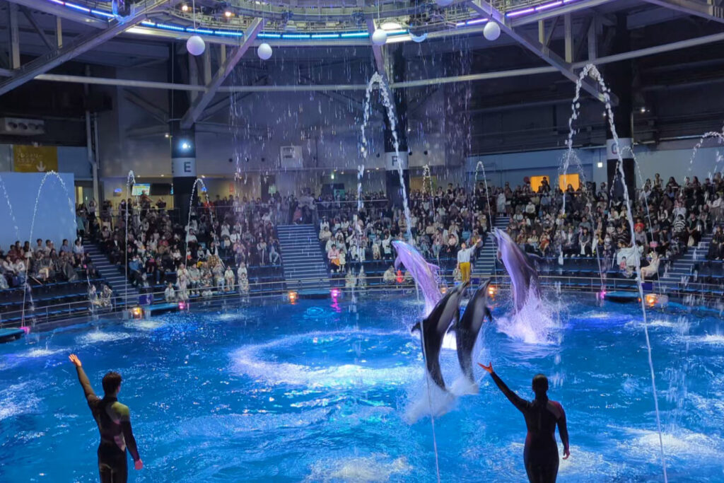 Maxell Aqua Park Shinagawa Tokyo Dolphin show