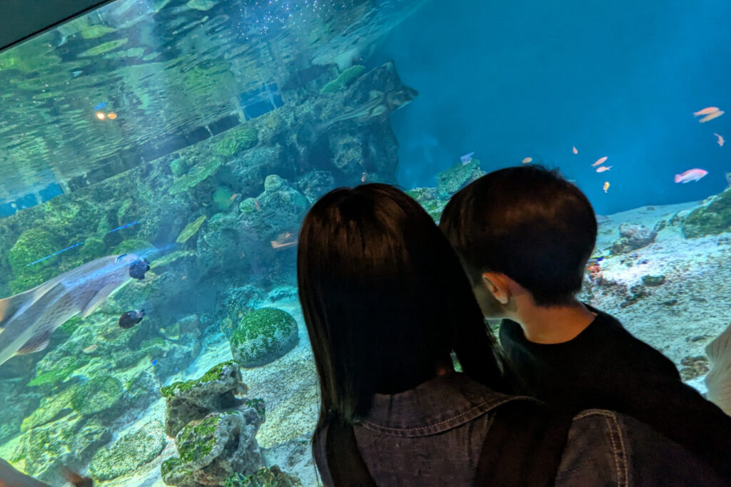 Maxell Aqua Park Shinagawa Tokyo Aquarium